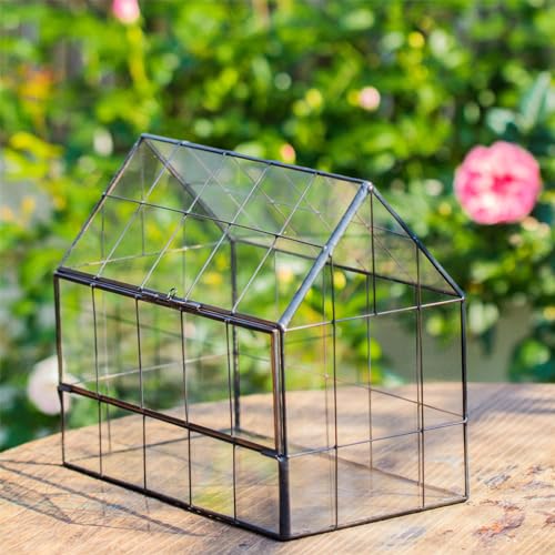 NCYP Glass Terrarium - Small Open Terrarium Planter, and Closed House Shape Glass Terrarium, for Small Succulent Cacti, Ferns, Home Garden Tabletop Decor (No Plants)
