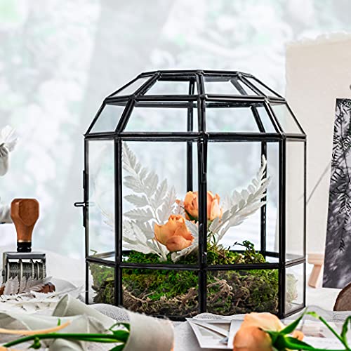 NCYP Geometric Glass Terrarium Dome for Succulent Cacti Air Plants, 6.6x6.6x8 Inches Closed Birdcage Planter Pot, Indoor Miniature Fairy Garden Display Container, Black, Handmade (Only Terrarium)