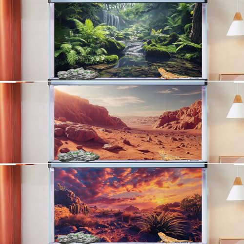 COMSUN 3 Pack Terrarium Background, 36x18 inch Polyester Reptile Background | Cloth Terrarium Background, Gobi Sunshine Cactus Stone & Green Tree Fern Stream Backgrounds, Backgrounds for Reptile Tank - size: 36x18 Inch