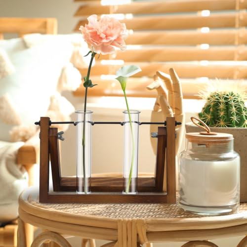POPETPOP 4Pcs Plant Propagation Tubes : Clear Glass Test Tubes for Plants Hydroponic Propagation Vases for Home Office, 5.89X1.18X1.18in