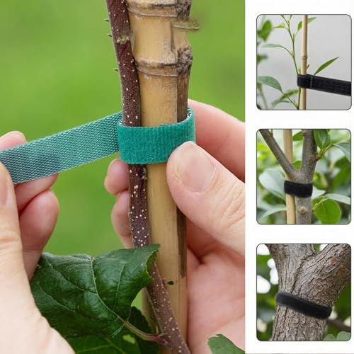 Soft Garden Cable Tie Tape-Reusable,for Climbing Plants Vines With Home Gardening Grips Effective Growing(82FT, Green) - color: Greener, size: 82FT