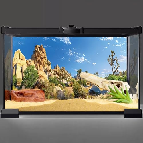 AWERT 30x18 inches Reptile Habitat Background Stone Blue Sky Oasis Cactus Sun and Desert Terrarium Background Polyester Background - size: 30x18in/75x45cm