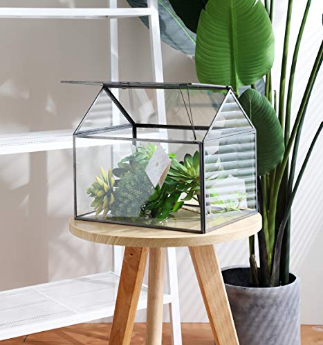 Large Glass Geometric Terrarium Container Tabletop Large Close House Shape Box Planter for Succulent Plant Moss Fern with Swing Lid Black Decor 12 x 9 x 10 inches, No Plants Included