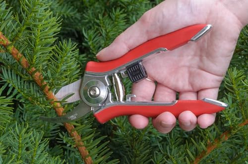 Dramm ColorPoint Stainless Steel Compact Garden Pruning Shears, Hand Pruner, Garden Clippers, with Heavy Duty Blade and Easy grip Handle, Orange - color: Orange, style: Classic