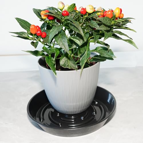 6 Packs Plant Saucer Pot Tray, 6 inch Black Flower Planter Saucers and Drip Trays - color: Black, size: 6" - 6 Pack