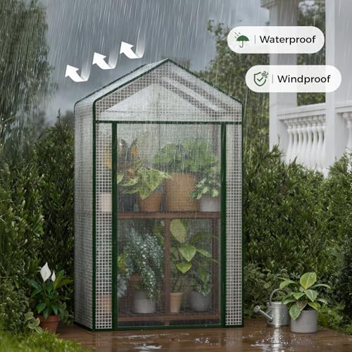 Bamworld Mini Greenhouse Indoor Small Portable 2-Tier Green House for Seed Starting Plant Grow Warmer and Home Gardening Display - size: Small