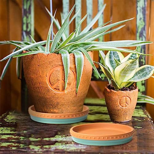 Plant Saucers, 8" Plant Trays to Catch Water, 2 Pcs, Premium Terracotta | Glazed turquoise and terracotta ceramic Flower Pot Saucers fit pots up to 7", catches excess water. - color: Turquoise/Terracotta