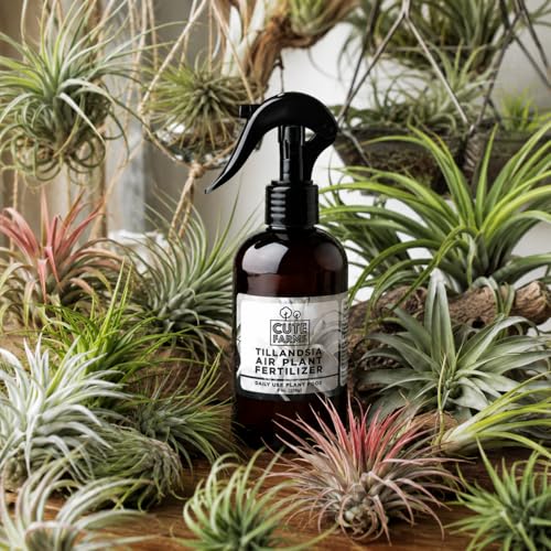 Cute Farms Tillandsia Air Plant Fertilizer | Gentle Daily Use Formula | Formulated Nutrients for Air Plants 8 oz - size: 8 oz