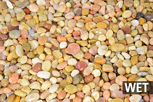 Cali-Bon Large Salmon Bay Pebbles for Aquarium, Bonsai Tree, Lucky Bamboo, Zen/Fairy Garden & Top Dressing - 3/9/30 lbs (9 lbs Pebbles) - size: 9 lbs pebbles