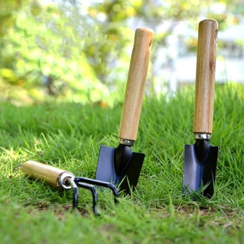 3 Pcs Mini Garden Tools Set Small Tiny Shovel Trowel and Hand Rake with Solid Wood Handle Indoor Gardening Tools for Pot Plants Succulent Bonsai - style: 3PCS Mini Silver