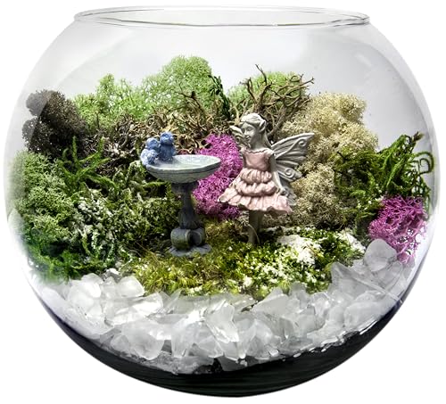 SuperMoss (23198) Reindeer Moss Preserved Bag, 2oz, Pink