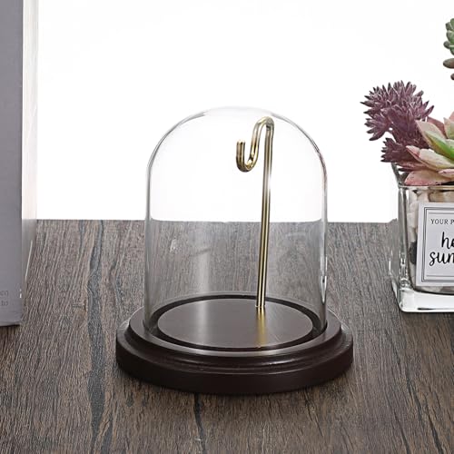 JUXYES Clear Glass Pocket Watch Display Dome Case with Base, 3x4 Inches | 2 Pack, Clear Glass, Dust Proof, Bell Terrarium Jar with Hanging Hook, For Pocket Watch Collectors and Antique Enthusiasts - size: M - 2 Pack