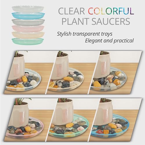 12Pcs Clear Plant Saucer, 6 8 10 Inch Durable Plastic Plant Tray, Round Plant Pot Saucers, Drip Tray for Indoor and Outdoor Garden, Green - color: Green(6" 8" 10")