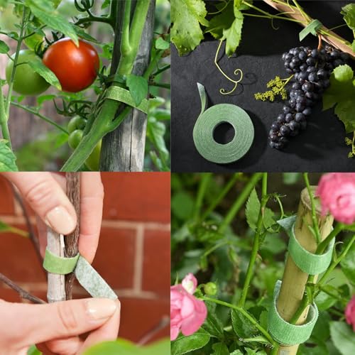 Garden Plant Supports, Reusable & Adjustable Ties, 12mm x 25m Green Recycled Plastic, Strong Grip for Effective Growth, Cut-to-Length, Eco-Friendly