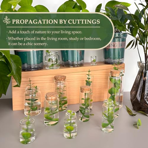 JIUYUE 18-Pack 2.71 oz (80ml) Small Glass Bottles with Cork Stoppers - color: 18pcs