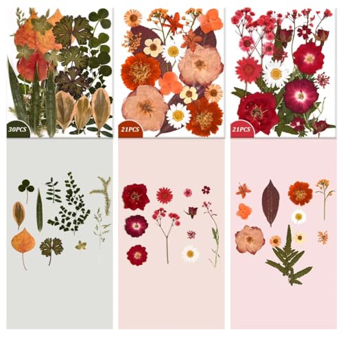 9 Packs of 200 Pressed Dried Flowers and Leaves for DIY Crafts - color: 9 Colors