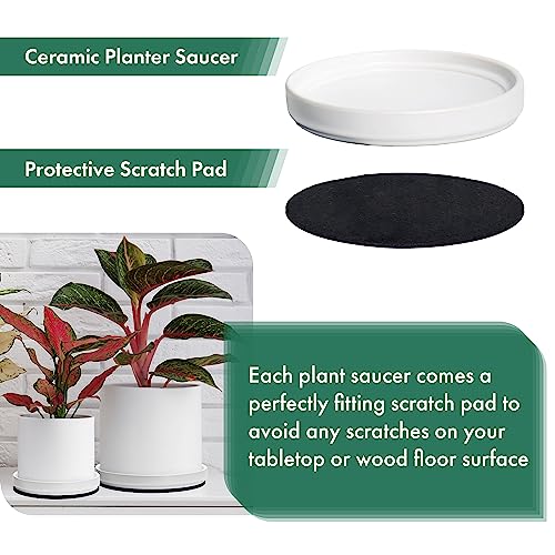 D'vine Dev Ceramic Plant Saucer/Drainage Tray, 5.4 in, White, 97-T-A-2 - color: White, size: 5.4" (1 Pack)