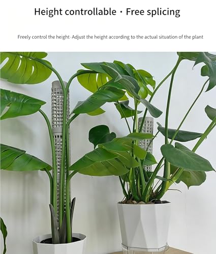 2 Pack Stackable Moss Pole for Climbing Plants, Modular Plant Support Pole 14x5cm, Extendable Plant Climbing Stake for Monstera, Pothos, Philodendron Indoor Plant Support