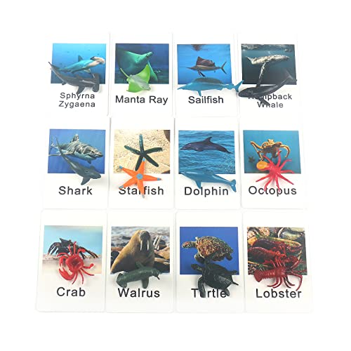 MEROCO Ocean Animals Montessori Matching Game Toys Kids Preschool | Sea Life Flash Cards Matching Game Toddlers Classroom Learning Plastic Figurines 3-5 - style: Marine Animal