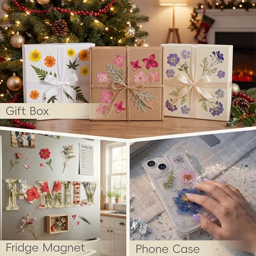 LUXEEASE 80P Yellow Red Pink Blue Dried Pressed Flowers - color: Pink Purple Red Yellow