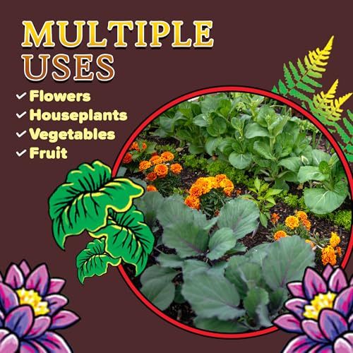 FoxFarm Happy Frog Potting Soil, 2cu ft (Pack of 2) - for Indoor/Outdoor Container Plants - Contains Mycorrhizae and Humic Acids - size: 2 Cu Ft (2 Pack)