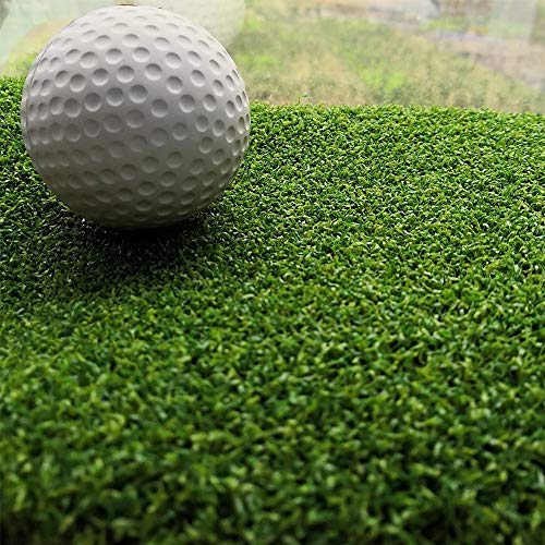 ALTRUISTIC Thick Golf Artificial Grass Turf Pro Putting Green Mat 10ft x 41ft, Customized Sizes/Indoor Outdoor Golf Training Mat, Synthetic Faux Grass for Garden Yard Baseball Football Gym Sports - size: 10 x 41ft