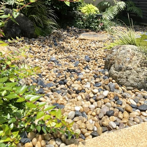 3Lb Lightly Polished Multi-Color River Rocks,7/8 Inch Pebbles - size: 3lb, style: colorful