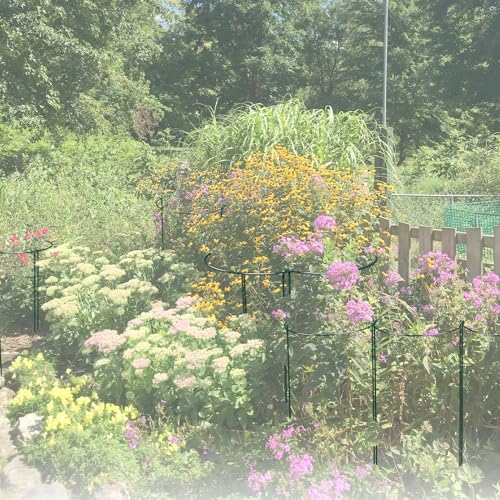 12 Pack 30 inch Plant Support Stakes, Heavy-Duty Half Round Peony Support, Garden Plant Stakes Cage for Outdoor Plants, Peony, Tomato, Hydrangea, (15ln Support +15ln Stainless Extension Tubes) - size: 30INCH-12PACK