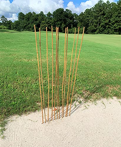 Natural Bamboo Poles, Eco-Friendly Plant Support Garden Stakes 4ft Long, Diameter of 3/8" (25-Count) - size: 4 ft, 3/8" Diameter (25-Count)