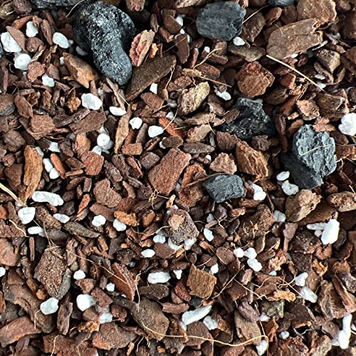 rePotme Snake Plant Soil, Imperial Houseplant Potting Soil Mix - Mini Bag (2 Quarts) - color: Snake Plant, size: Mini Bag - 2 Quarts