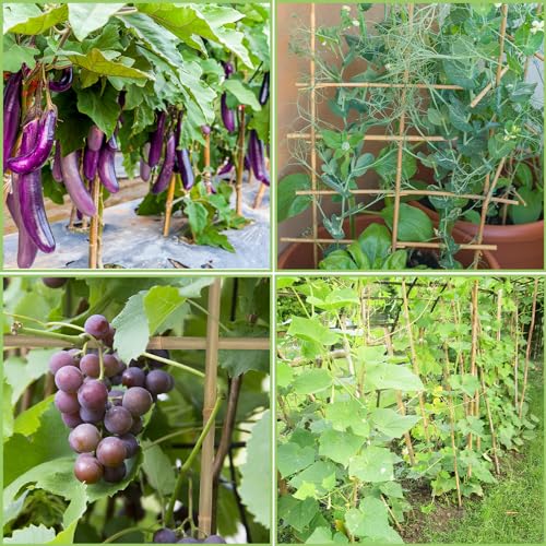 GAGINANG Natural Bamboo Garden Stakes, 4.8FT Trellis Plant Support 20Pcs | 4.8FT sturdy longer bamboo sticks for trellis, support tomato, vegetables, beans, trees and climbing plants indoor & outdoor. - size: 4.8Ft,Pack of 20