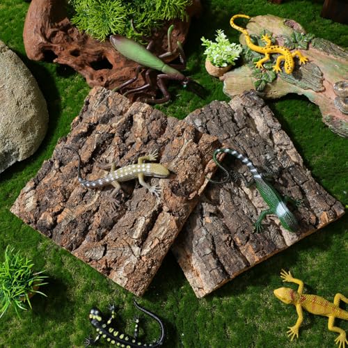 SHINEOFI Cork Bark Reptile Tank Background 4 pcs Terrarium Decor for Gecko Lizard Frog Bearded Dragon Natural Bark Pieces 5.90 X 5.90 X 0.78 in