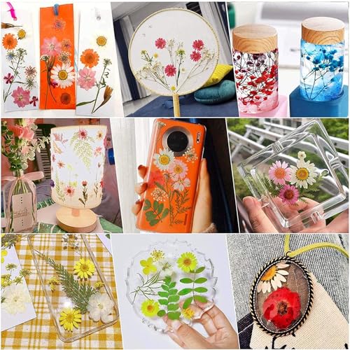 Cayway 170 PCS Real Nature Dried Pressed Flower Leaves, Pressed Flowers for Resin, Real Nature Pressing Floral Leaves for DIY Craft, Candle Scrapbooking Supplies, Purple - color: 170pcs-purple