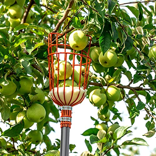 Walensee 8FT Fruit Picker Pole Tool with Large Basket, 35-95 Inch Adjustable Mango Picker, Durable Cherry Picker for Tree, Fruit Catcher for Avocado Pear Lemon Orange Apple - size: 8FT