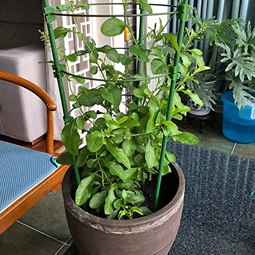 FEED GARDEN Garden Stakes 24 Inch 2ft 25 Pack,Sturdy Plant Metal Sticks Support,Plastic Coated Plant Stakes,Tomato Stakes,Beans,Trees - size: 24Inch