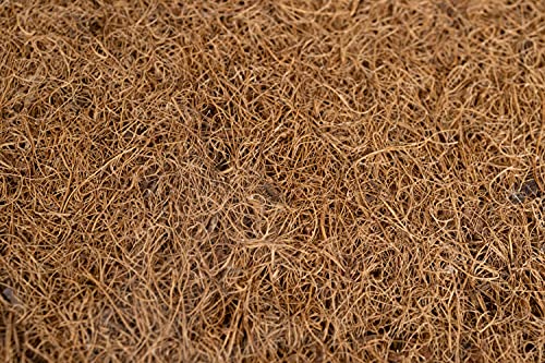 Josh's Frogs Coco Mat- Substrate or Terrarium Background (20"x20") - size: 20"x20"