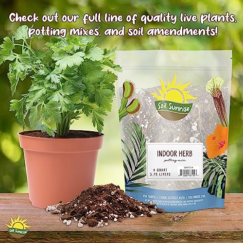 Soil Sunrise Coco Peat Perlite Potting Mix (4 Quarts) Loose Coconut Coir and Perlite - size: 4 Quarts