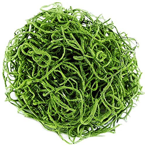 Preserved Reindeer Moss - 2 oz- Bag (Spanish Moss) - color: spanish moss