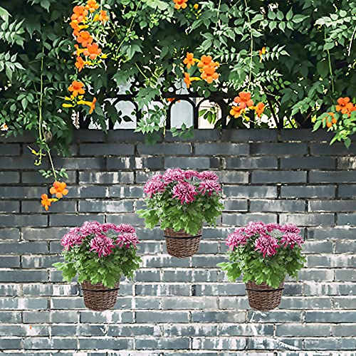 6 inch Flower Pot Holder Ring Wall Mounted Set of 4 Heavy Duty Metal Wall Plant Holder Plant Hanging Bracket Hanger for Outdoor/Indoor - size: 6 Inch
