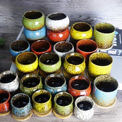 Succulent Pots, 4.2 Inch Small Flower Pots with Drainage | Ceramic Pots for Indoor Plants Cactus Bonsai Planters Set of 4 - color: Blue/Green/Red/Yellow