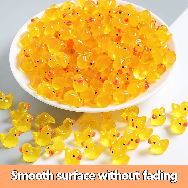CHAKANLX 200 Pieces Fairy Garden Accessories, Mini Resin Ducks, Fairy Garden Kit, Miniature Figurines, Micro Landscape Ornaments Kit - color: 200 Fairy Garden Accessories, Mini Resin Duck