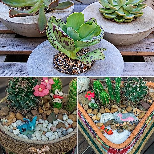 5LB Aquarium Gravel, 1/4" Pea Gravel for Fish Tank, Small River Rocks for Garden Decoration, Landscaping, Vase Filling, Flower Pot Paving(4-8MM) - size: 5LB, style: 4-8MM