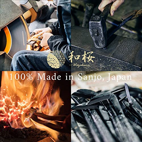 Wazakura Made in Japan 5PCS Bonsai Tool Kit with Roll Bag: Yasugi Steel Ashinaga Bonsai Scissors, Concave Branch Cutter, Knob Cutter, Wire Cutter, Tweezers - 5 Tools Ashinaga Set with Case - style: 5PCS Professional Tool Set (Yasugi Steel Ashinaga Scissor