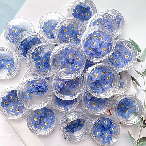 Leadigol Blue Forget Me Not Flowers,Don't Forget Me Dried Flower,Natural Real Dried Pressed Flowers, for Scrapbooking Art Crafts,Jewelry Soap Making,Nails Art Flowers Decorations