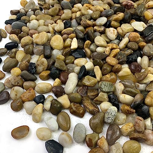 FANTIAN 5 lbs Aquarium Gravel, 2/5 Inch Fish Tank Gravel, River Rocks - size: 2/5 Inch