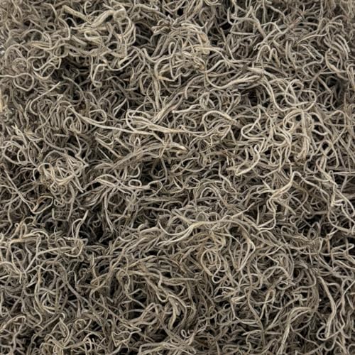 Spanish Moss, Preserved Moss, Natural, Medium 1-Pack - color: Natural, size: Medium 1-pack
