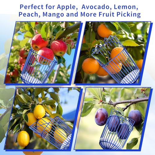Fruit Picker with Basket, 40–70 Inch Adjustable Pole | Tree Fruit Picker Tool, for Apple, Avocado, Cherry, Citrus, Lemon, Mango, Orange, Peach, and More - size: 40-70”