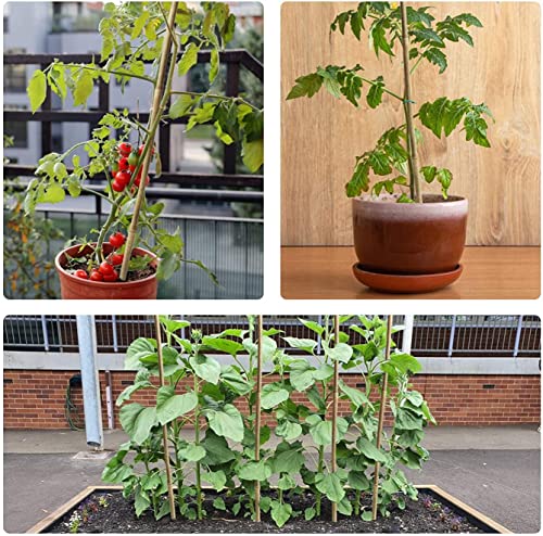 Jollybower 25pcs 1/2" D Thicker Heavy Duty Bamboo Stakes, 4FT Plant Stakes, Natural Garden Stakes for Tomato, Bean, Flowers,Trees Potted and Climbing Plant Support - size: 4Ft, Pack of 25