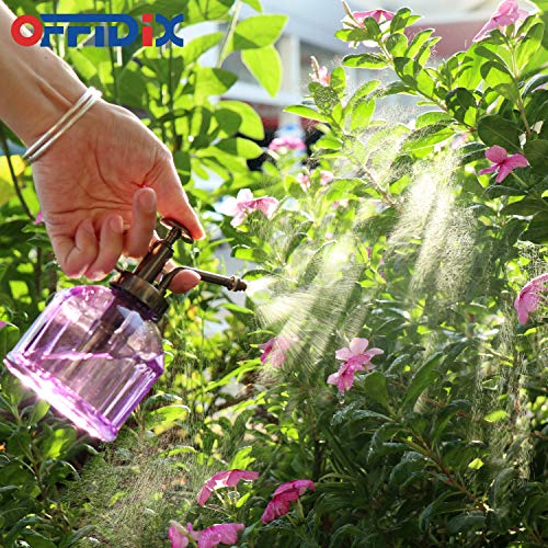 OFFIDIX Glass Plant Mister Spray Bottle, Purple Small Watering Can 6.7 oz - color: G-Purple