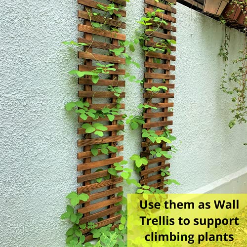 ShopLaLa Wall Planter (90cm, 2 Pack) Hanging Planters for Indoor Plants - size: 90cm (35.4") x 2